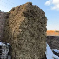 یونجا|حیوانات مزرعه|فیرورق, |دیوار