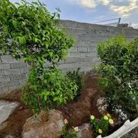 باغ وباغچه175متر/اب وبرق/نقلی