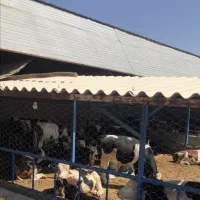 مشارکت و سرمایه گذاری