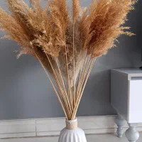 گلدون