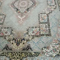 فرش ۹ متری ۲ عدد|فرش|تربت جام, مطهری|دیوار