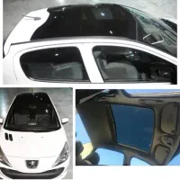 نیروی ماهر کارواش