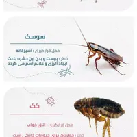 سمپاشی ساختمان و رستوران های واداره جات وخوابگاهای
