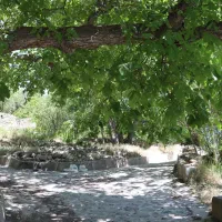 زمین-200-متر-کشتارگاه-شهمیرزاد