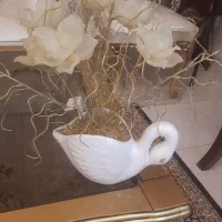 گل و جا شکلاتی