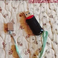 ۲ عدد فلس ۳۲ گیگ