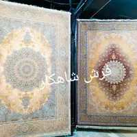 فرش مُحتشم ۱۵۰۰ شانه کد ۳۱۵۷۰ روناسی ۱۲ متری|فرش|شیراز, فرهنگیان|دیوار