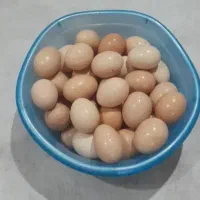 تخم مرغ ارگانیک لاهیجان