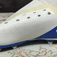 کفش|کیف، کفش، کمربند|مشهد, نیزه|دیوار