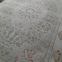 دوتا ۶متری برجسته جدید