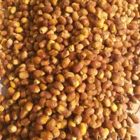 قصب ( زاهدی سید) افزر قیروکارزین|خوردنی و آشامیدنی|شیراز, گل سرخ|دیوار