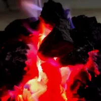 پخش ذغال کبابی سیب اعلا و اجیلی