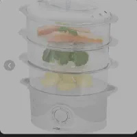 بخار پز کلترونیک