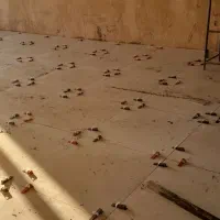 کاشیکار کاشی کار موزاییک کارسرامیک کار|خدمات پیشه و مهارت|حبیب آباد, |دیوار