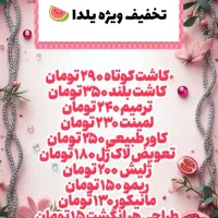 کاشت ناخن ۲۹۰ ویژه یلدا (پونک)