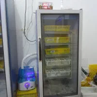 دستگاه جوجه کشی بلدرچین دماوند