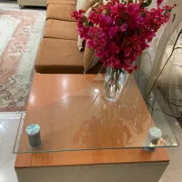 فروش فوری مبل ال ۱۶نفره برند حالیا