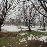 سرایداری،نگهبان باغ جاده بیستون سرارود
