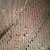 جدا کن پسته|ماشین‌آلات صنعتی|زرند, |دیوار