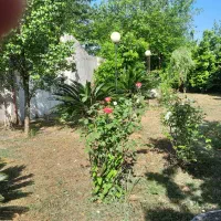 خانه‌ویلایی‌به‌متراژ۱۷۰۰متر|فروش خانه و ویلا|رشت, حومه رشت|دیوار