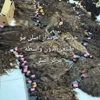 فروش مو طبیعی کد 8000