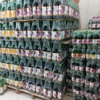 پخش عمده مواد غذایی و دلستر اسکای