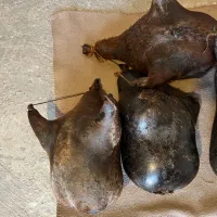 هیزه|صنایع دستی و سایر لوازم تزئینی|کوهدشت, |دیوار