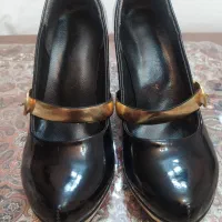 کفش مجلسی