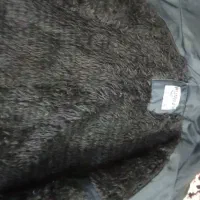 کاپشن مردانه|لباس|بم, |دیوار