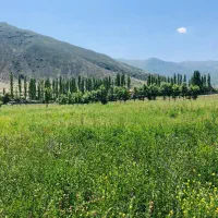 فروش زمین ۲۰۰ متری مسکونی خاچک کجور|فروش زمین و ملک کلنگی|کجور, |دیوار