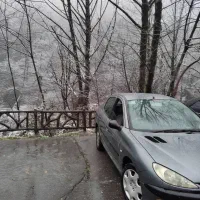 پژو 206 SD V1 TU5 مدل 1386 کارمندی