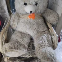 شاسخین اصل قدیمی