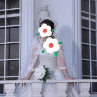 لباس عروس مزونی|لباس|میناب, |دیوار