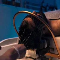 اسکراب اسکالپ مو|خدمات آرایشگری و زیبایی|اندیشه, اندیشه فاز ۳|دیوار