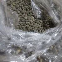 بزر بامیه|خوردنی و آشامیدنی|شوشتر, |دیوار