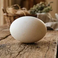 تخم غاز جوجه کشی