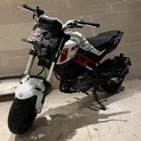 بنلی،۱۳۵