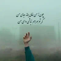 پارتنر پیاده روی