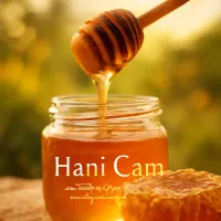 عسل کنار 100 درصد خالص