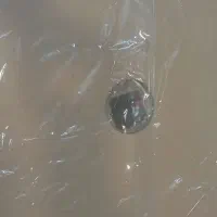 ساعت دیواری|ساعت دیواری و تزئینی|مشهد, زمانه|دیوار