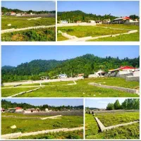 20متر270متر-زمین-جنگلی-کوهپایه-تالش-اسالم-طولارود