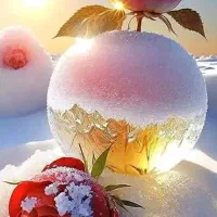 سرکتاب ،مشاوره