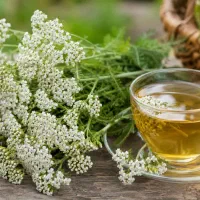 طب سنتی برای علاقه‌مندان