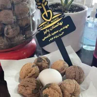 نهالستان گردو و انواع ارقام نهال سردسیر پالیز|خدمات باغبانی و درختکاری|بستان آباد, |دیوار