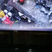 فروش تلوزیون جدید ال ای دی|تلویزیون و پروژکتور|زابل, |دیوار