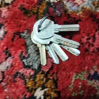 جا ماندن کلی در ماشین