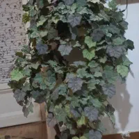 درختچه مصنوعی بزرگ با گلدان ۱۵۰ سانت