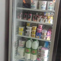 یخچال ایستادهZIMANاصلی
