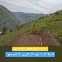 فروش مزرعه گل گاوزبان در گیلده گردنه حیران.|فروش زمین و ملک کلنگی|آستارا, |دیوار