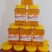 عسل دیلمان